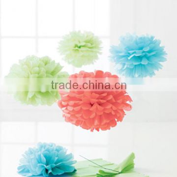 Garden Decoration Garland Tissue Paper Pom Poms