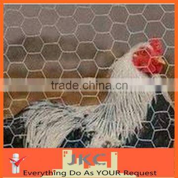 Chicken Coops Hexagonal Chicken Wire Plastic Mesh