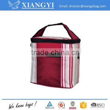 Cans Insulated lunch cooler bag PVC EVA lining                        
                                                                                Supplier's Choice