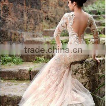 Champagne Vestido De Noiva Manga Longa Tulle Sexy V Neck Elegant Long Sleeve Wedding