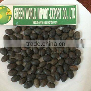 DRIED BLACK LOTUS SEED LOWEST PRICE