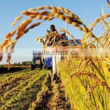 Super Absorbent Polymer Powder for Agriculture Planting photo-5