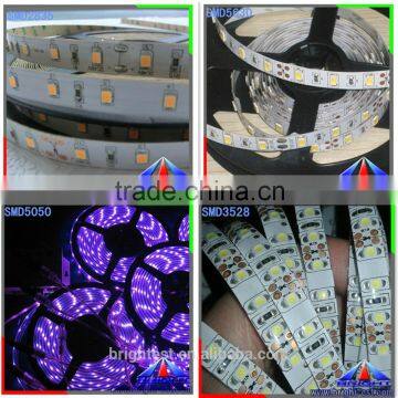 12V/24v 5M 3014SMD 600LED Cool/Warm White Non-Waterproof Strip Light Lamp For Home