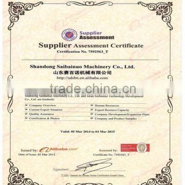 Industrial Stainless Steel Crunch Rice Bites Production Extruder photo-5
