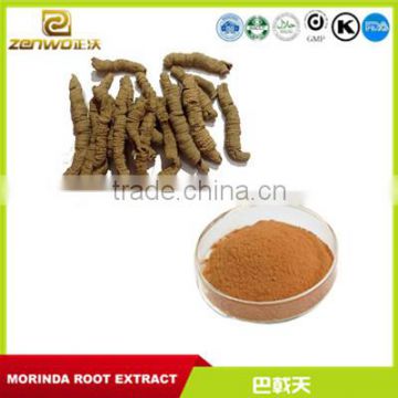 ISO standard morinda officinalis extract