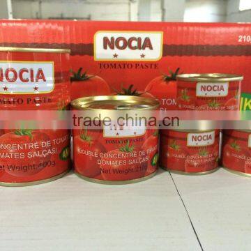 Tomato Paste 22/24 Concentration