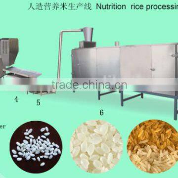 Hot Sale DXY Nutritional Rice Processing making Line