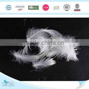 Factory Price 2-4cm Washed White Goose Feather fo Selling