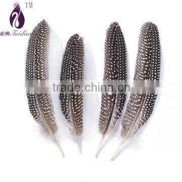 black white point pheasant feathers plume for jewelry clothing craft bulk sale