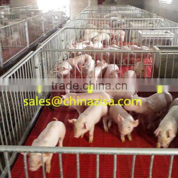 china zisa pig saw farming cage equipments