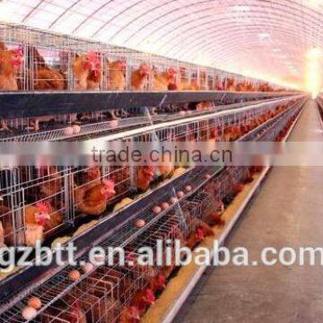 stainless steel Chicken feeding machinery