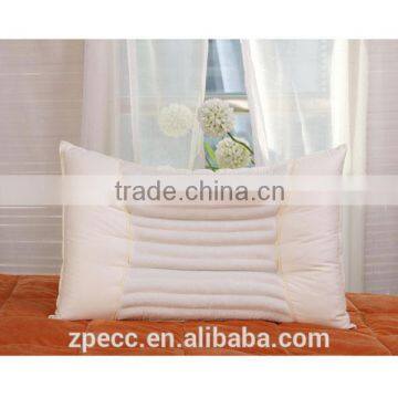 Cotton Fabric Microfiberl Infill Buckwheat Pillow