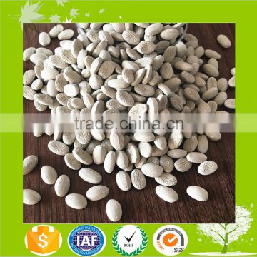 Best Masterbatch Manufacturer/Plastic Desiccant Masterbatch/Master Batch/PE Masterbatch