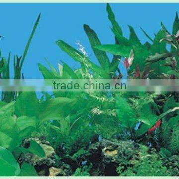 Waterproof Plastic Aquarium Background Picture J03
