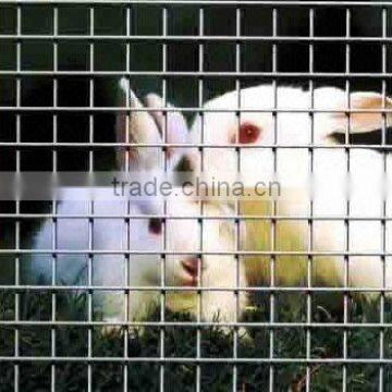 galvanized welded wire mesh livestock panel