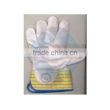 Pure Chrome Canvas Leather Hand Gloves