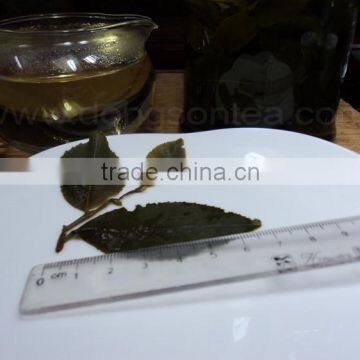 OOLONG TEA /Pyramid Oolong Tea Bag/ Triangle Oolong Tea Bags photo-5