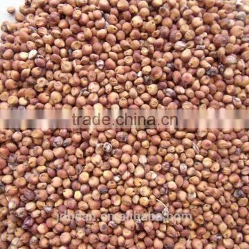 Price Of Red Sorghum