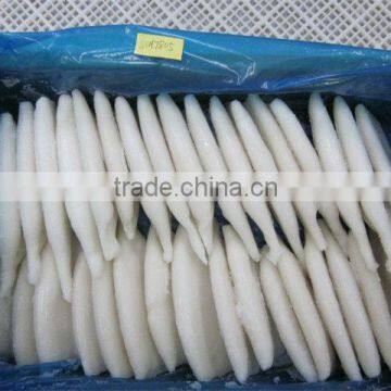 Frozen Squid