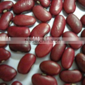 Small Red Kidney Beans