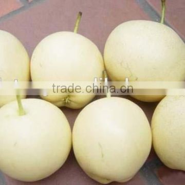 2015 emerald pear with good taste exporter in china