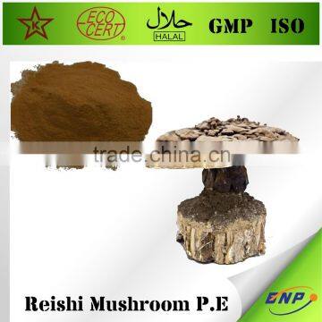 BNP Natural TOP Quality Reishi Spore Powder photo-2