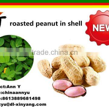 Good Salted Roasted Peanut in Shell photo-4