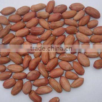 Chinese new crop peanut kernels