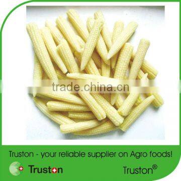 2015 Hot Sale Canned baby corn from China