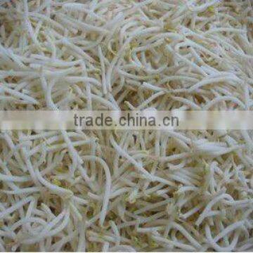 Canned Mung Bean Sprouts
