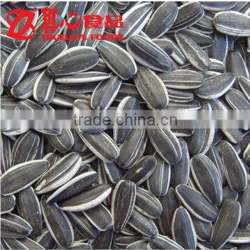 Common Cultivation Type Sunflower Seeds with stripes