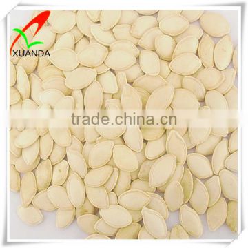 Different type of seeds pumpkin seed shine skin