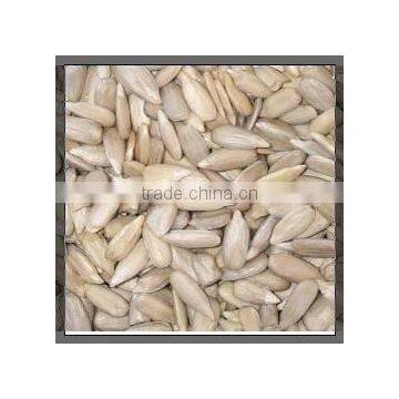 Chinese Sunflower Kernels bakery grade New Crop