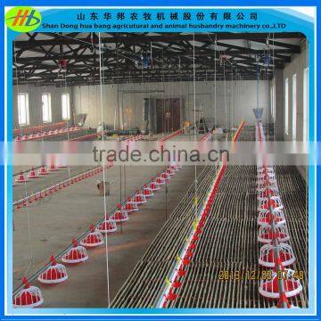 Automatic Poultry Farm Feeding Line photo-5
