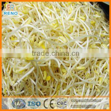 XKD-200 Bean Sprouts Machine With Compertitive Price photo-6
