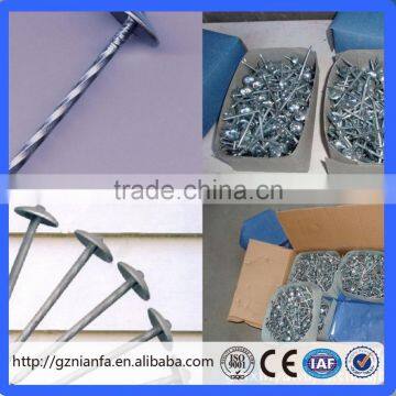 Hot-selling polished common nails/roofing nails/flat head nails/concrete nails (Guangzhou Factory)