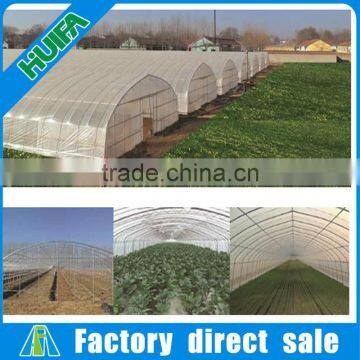 Wholesale Poly Tunnel Greenhouse for Garden /agricola photo-2