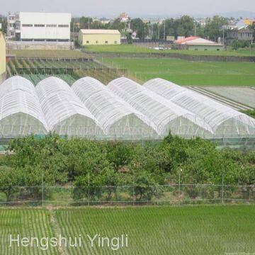 18x14 Mesh Grey or Black Protect the Windows Fiberglass Window Screen photo-4