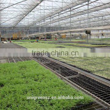 Seedbed for Greenhouse Nursery House