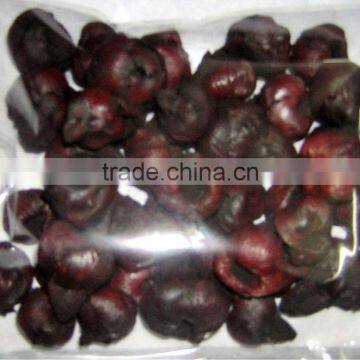 CoCo Fruit