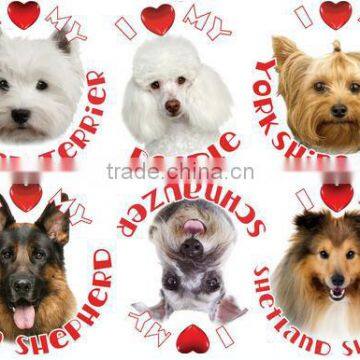 Eco Solvent High Density Heat Transfer Printing Paper T-shirt Sticker photo-5