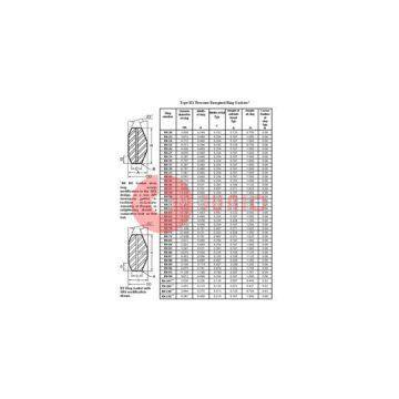 SRX Ring Type Gasket