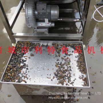 Raisin Processing Equipment Raisin Cleaning Line Raisin Cleaning and Drying Line photo-3
