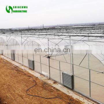 Classic Commercial Plastic Film Greenhouse/Garden Greenhouse for Sale photo-3