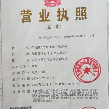 Qingdao sunny farm fruits & vegetables CO.,LTD