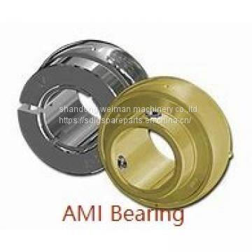 AMI Bearing