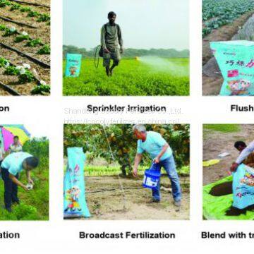 Granular Water-soluble Fertilizer Cocoly Full of Nutrients photo-4