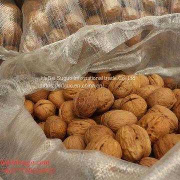 2020 The Best New Crop Liaoxi Walnut Inshell photo-4