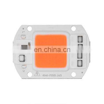 AC 220V Full Spectrum Indoor Plant Growth Lamp COB LED Grow Light Chip 50W photo-2