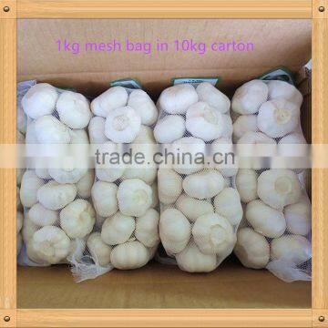 2016 New Crop Fresh Garlic in 10kg Mesh Bag and Carton China Export Garlic photo-2